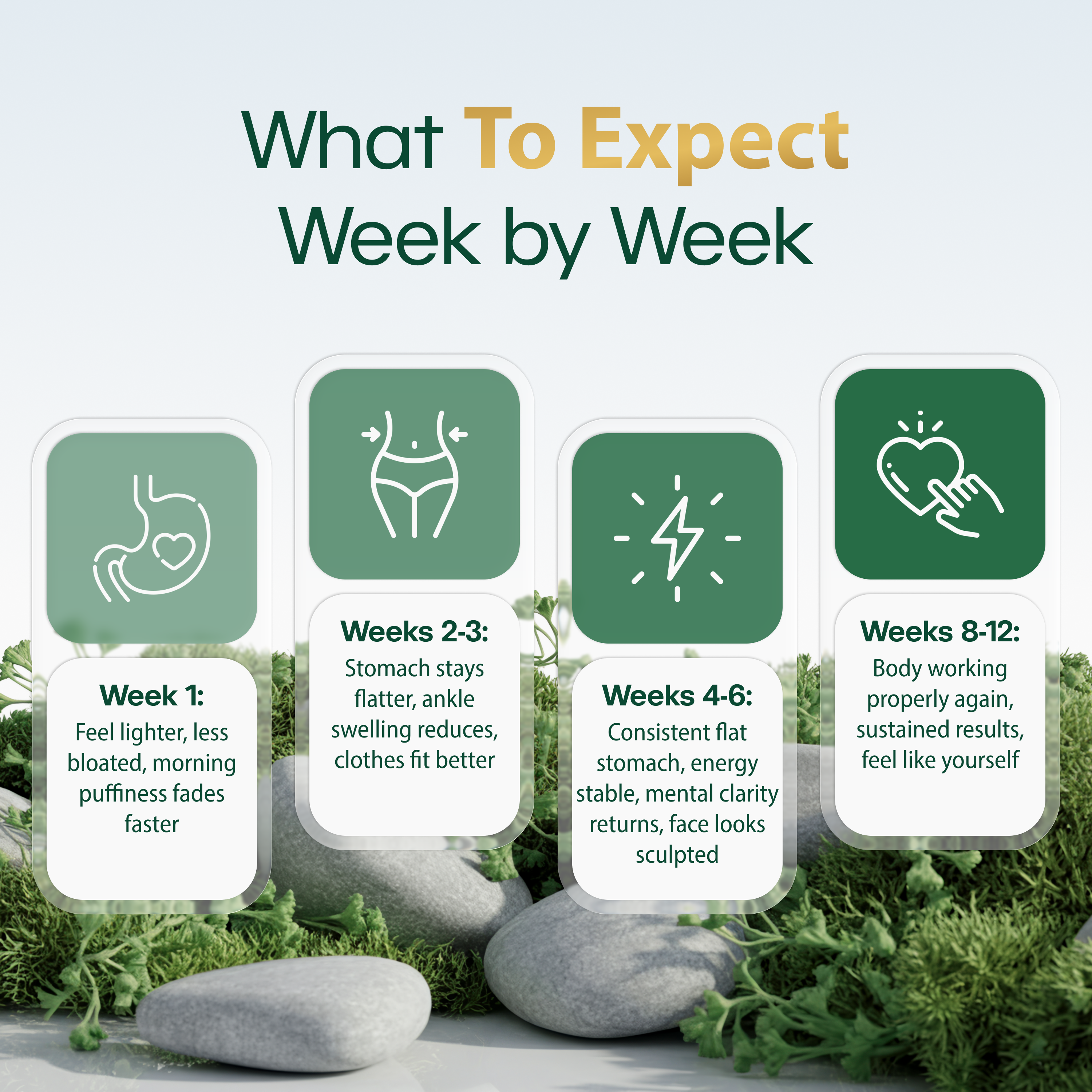 New Maximum Potency Formula - Lymphatic Drainage Capsules by Lymphelle™