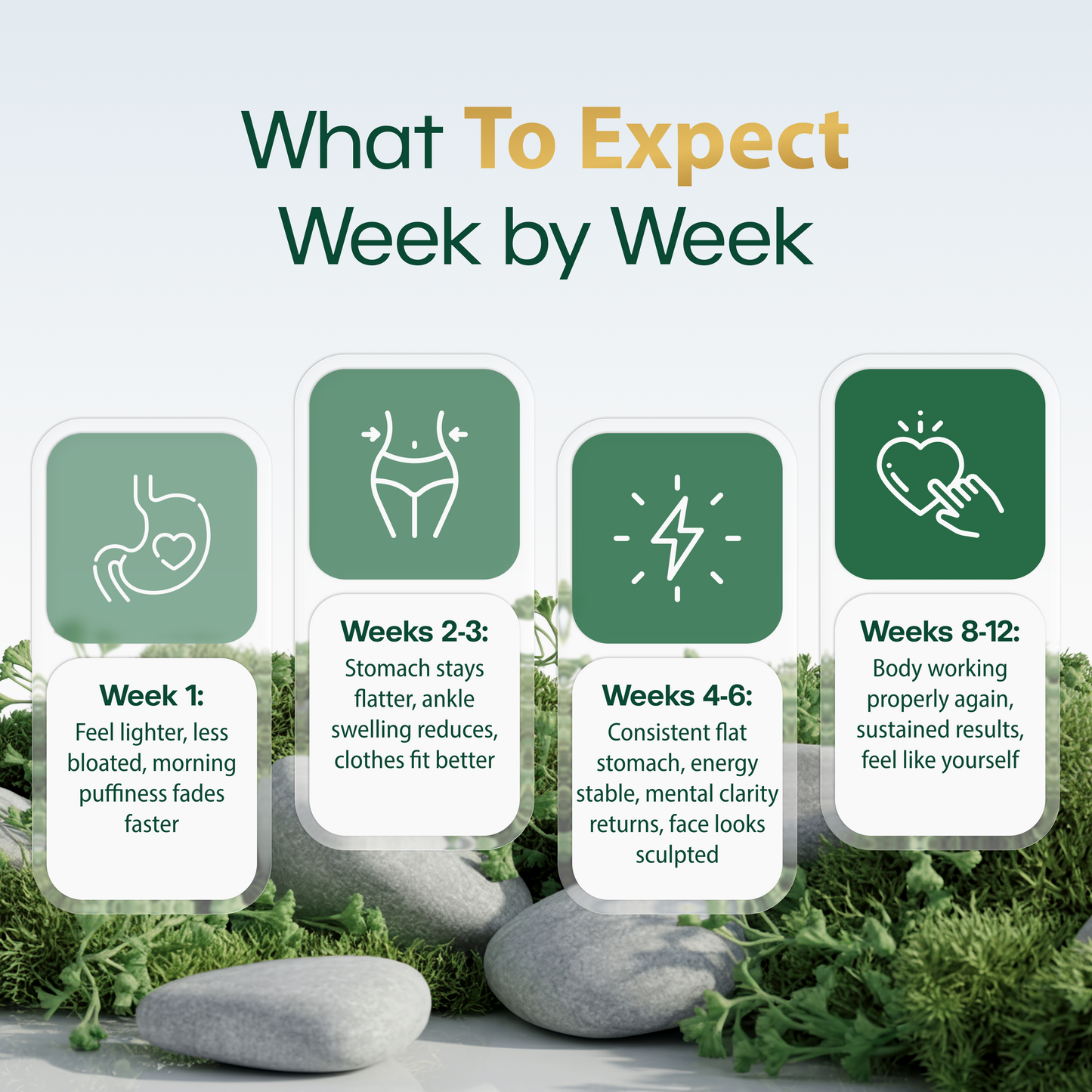 New Maximum Potency Formula - Lymphatic Drainage Capsules by Lymphelle™
