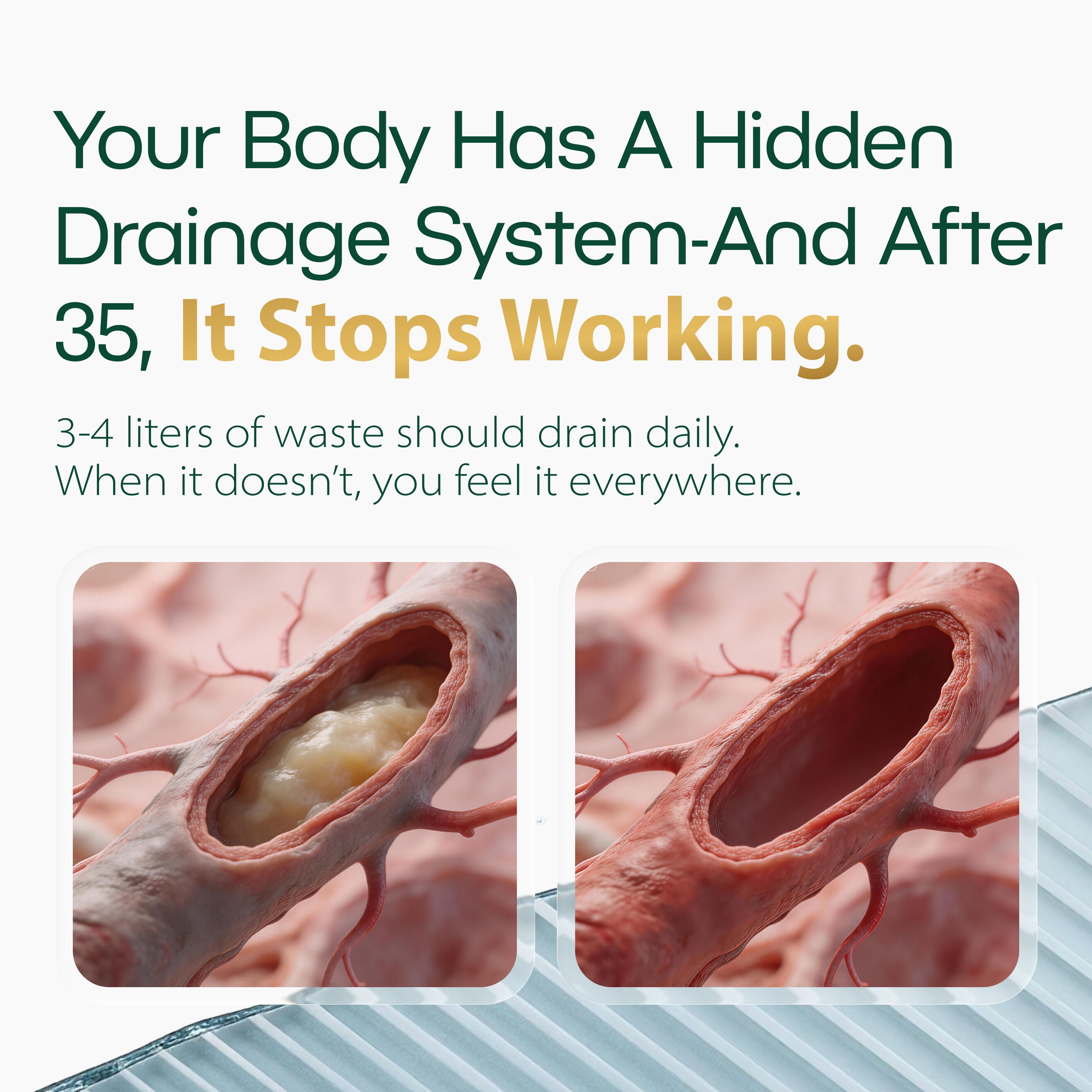 New Maximum Potency Formula - Lymphatic Drainage Capsules by Lymphelle™