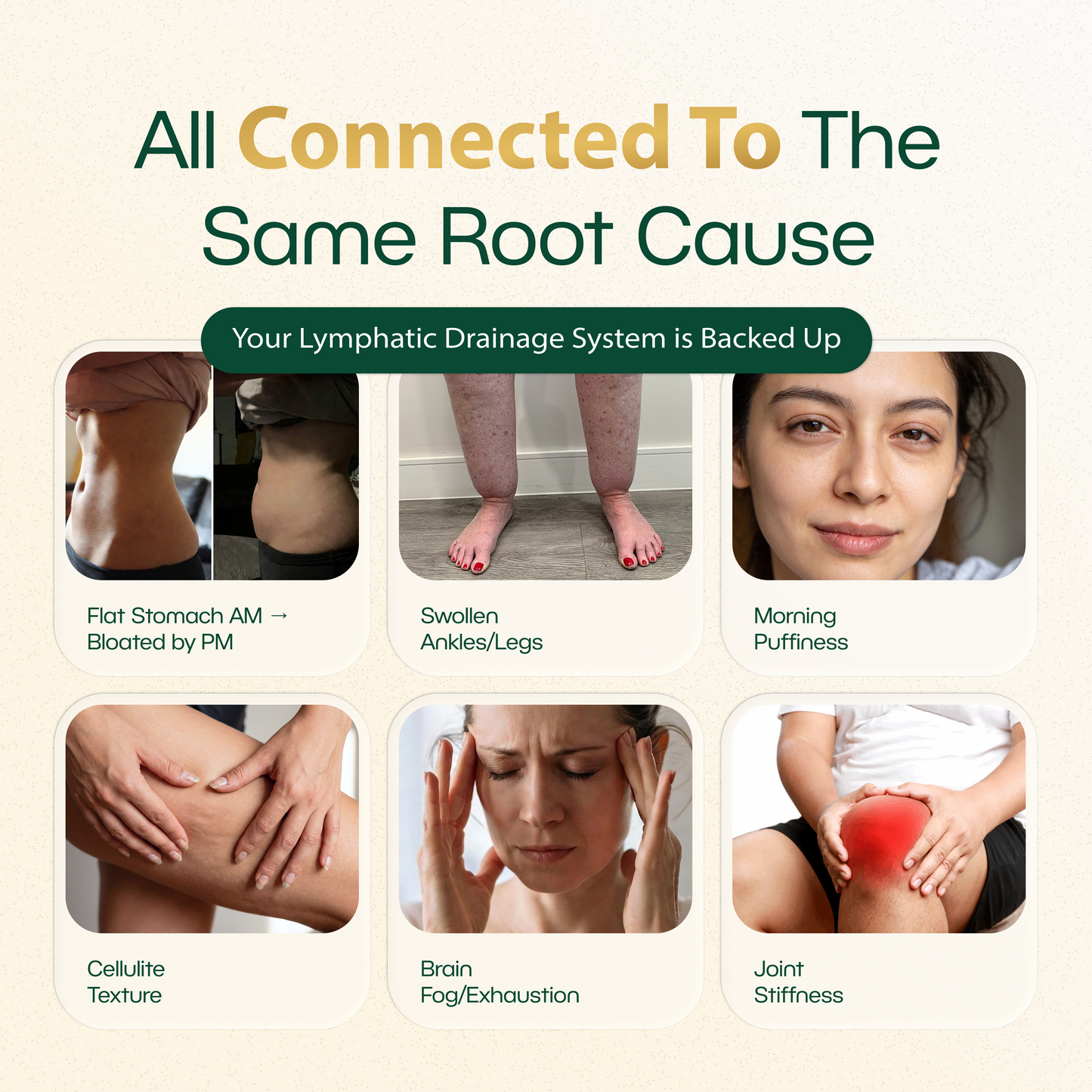 New Maximum Potency Formula - Lymphatic Drainage Capsules by Lymphelle™
