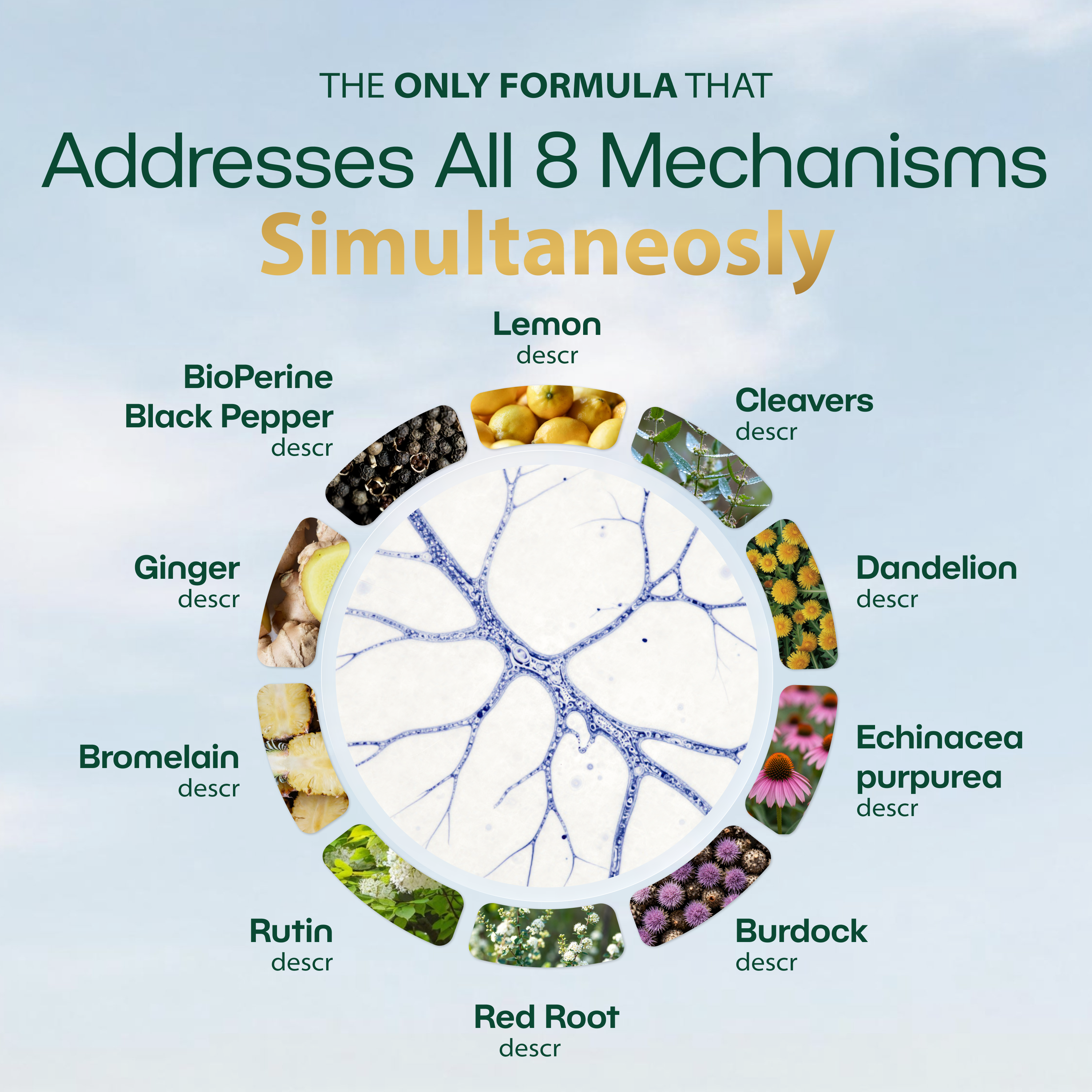 New Maximum Potency Formula - Lymphatic Drainage Capsules by Lymphelle™