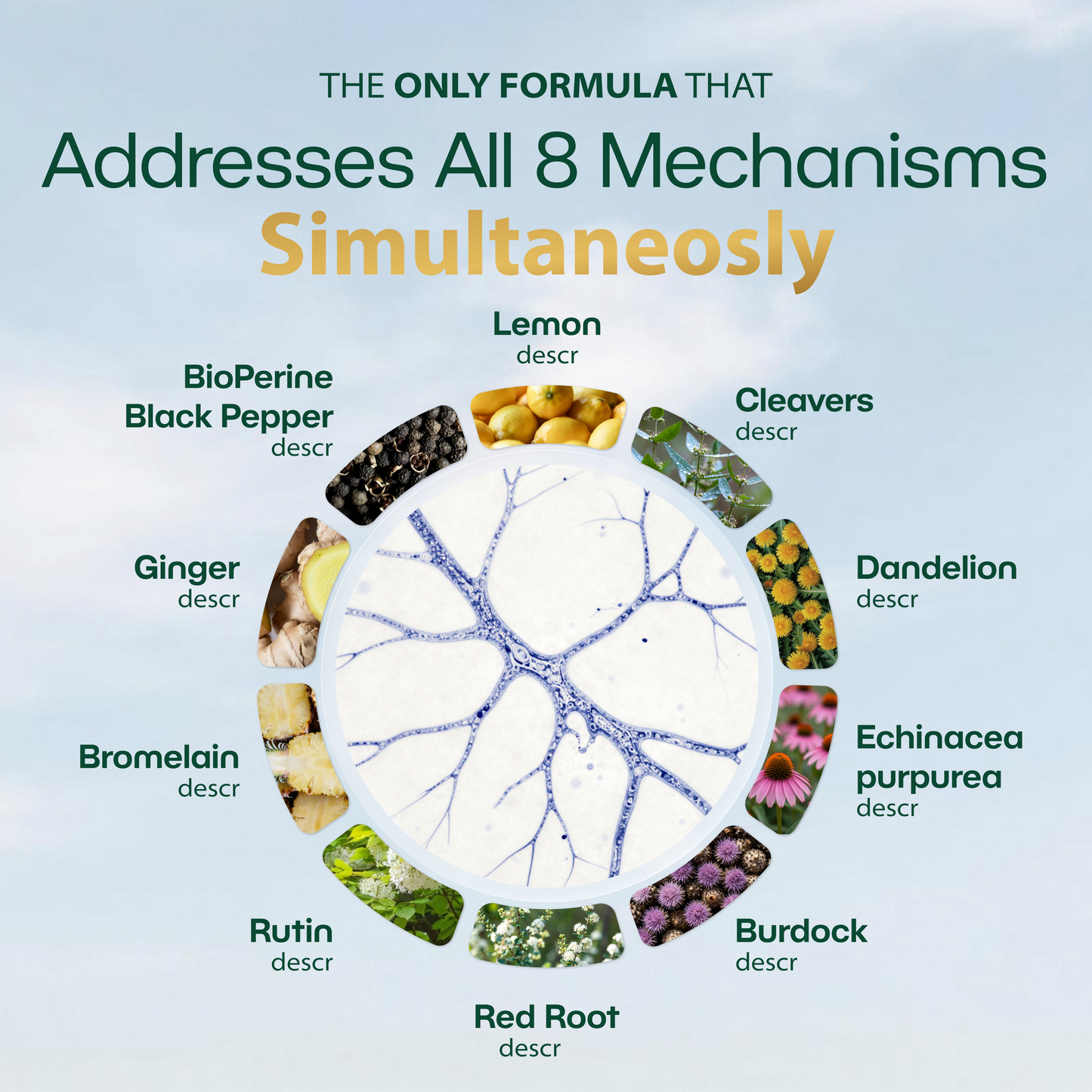 New Maximum Potency Formula - Lymphatic Drainage Capsules by Lymphelle™