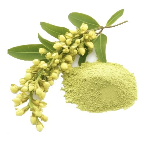 Sophora japonica flower buds and rutin powder